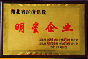 冠盛機(jī)械 生產(chǎn)扒渣機(jī)機(jī)械產(chǎn)品的專業(yè)廠家
